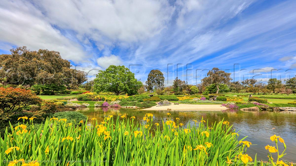 Peter Bellingham Photography Japanese Garden - Cowra